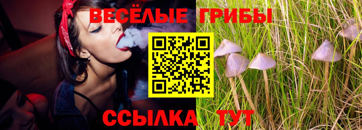 Псилоцибиновые грибы мицелий Зерноград
